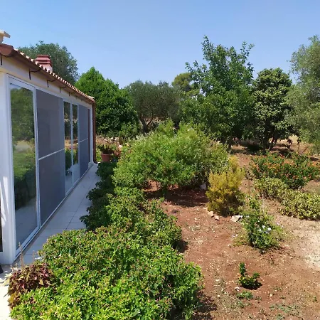 Vakantiehuis Trullo Libellula *